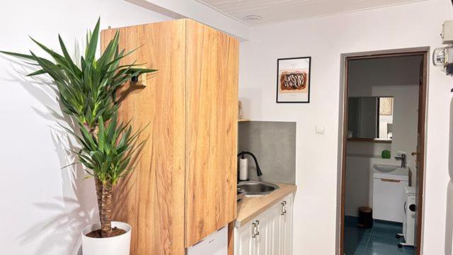 Apartament Boho Stare Miasto Новы Сонч Экстерьер фото